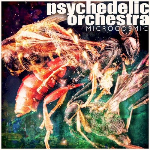 Microcosmic