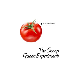 Not My Music Not Performed By Me Supplément Ketchup