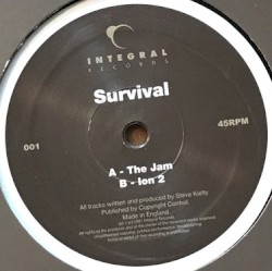 The Jam / Ion 2