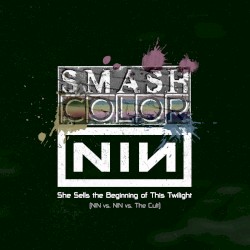 She Sells the Beginning of This Twilight (Nine Inch Nails vs. Nine Inch Nails vs. The Cult)