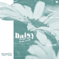 daisy.