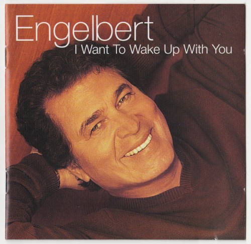 I Want to Wake Up With You