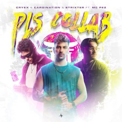 PLS COLLAB