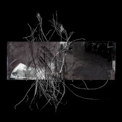 Radiatopses