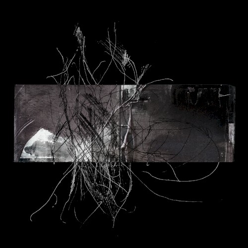 Radiatopses