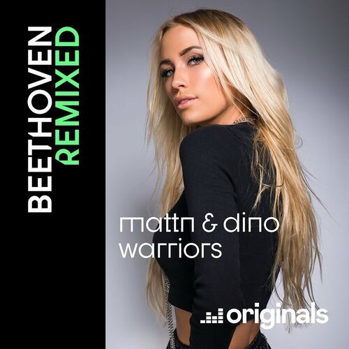 5th Symphony (allegro Con Brio, Symphony No. 5) - Beethoven Remixed