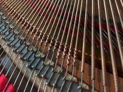 The Piano Blog, Volume 1