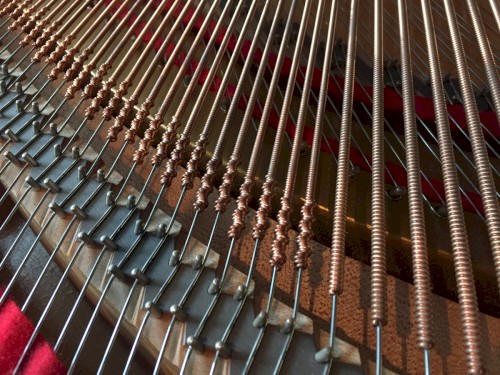 The Piano Blog, Volume 1