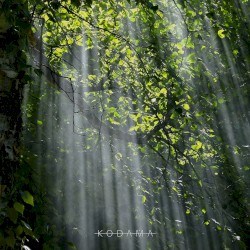 A Hidden Dell