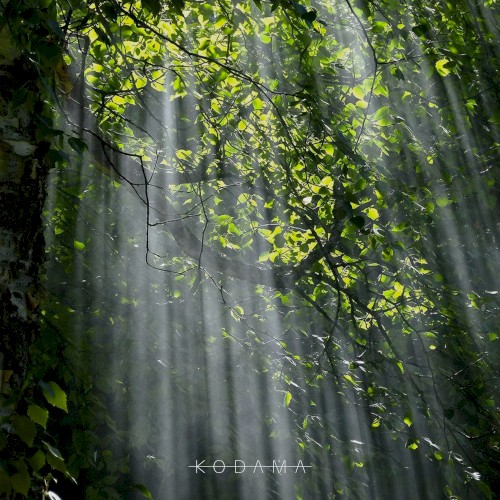 A Hidden Dell