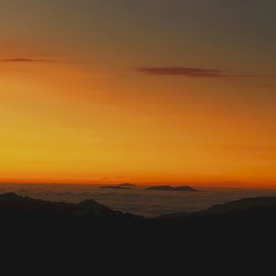 Alba
