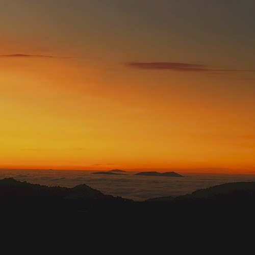 Alba