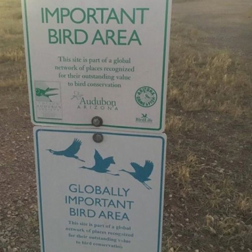 Important Bird Area