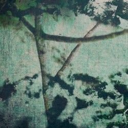 Rorschach