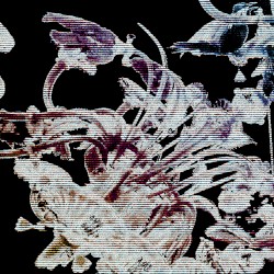 𝘾𝙖𝙡𝙡