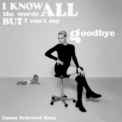 I Know All The Words But I Can't Say Goodbye