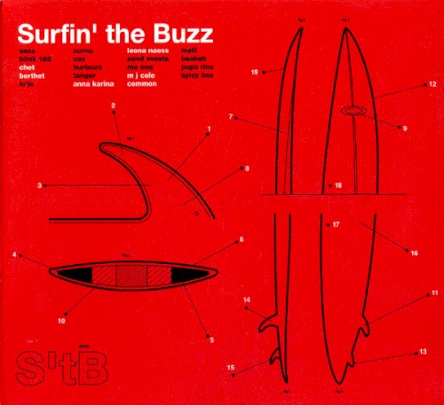 Surfin’ the Buzz: 2000