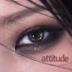 attitude