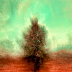 Beginnings