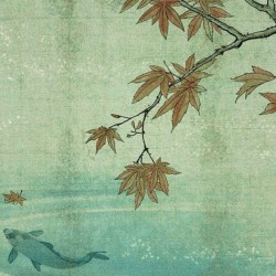 Calm Winds