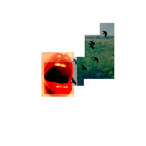 did you see the sun rise // mirror