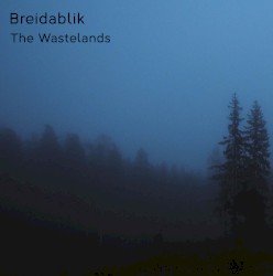 The Wastelands
