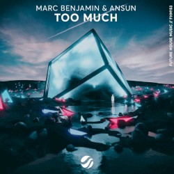 Too Much