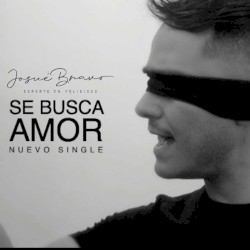 Se busca amor