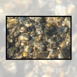 Moonlit Missive #60