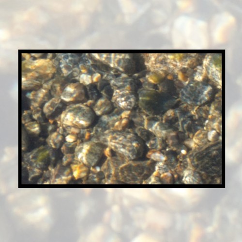 Moonlit Missive #60