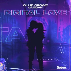 Digital Love