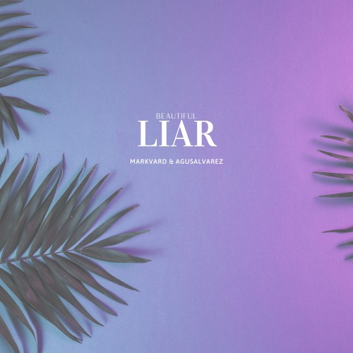 Beautiful Liar
