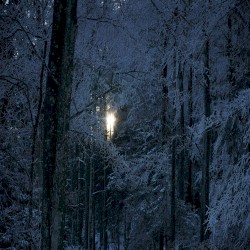Winter Nights