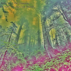 Caravan of Healing Sounds
