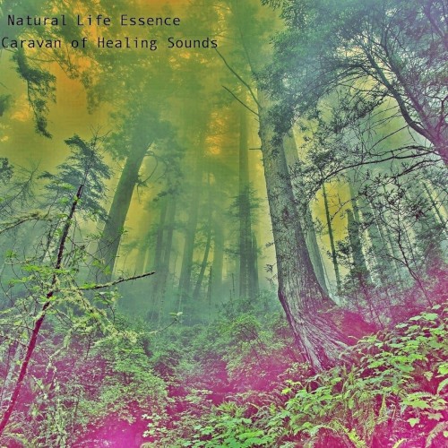 Caravan of Healing Sounds
