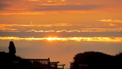 scorched night
