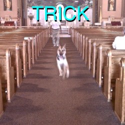 Trick