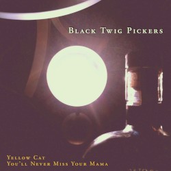 Yellow Cat / You'll Never Miss Your Mama