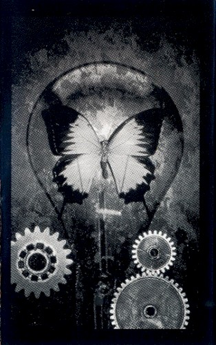 DARK BALANCE