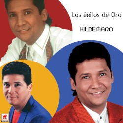 Los éxitos de oro