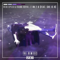 IN 2 U: The Remixes