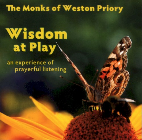 Wisdom at Play