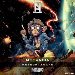 Meteor / Awake