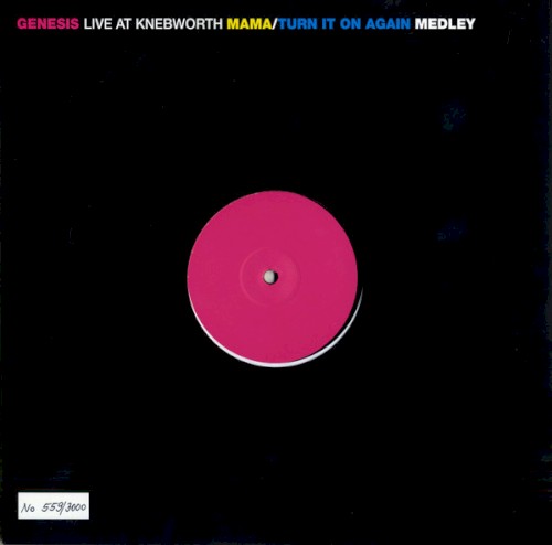 Live at Knebworth