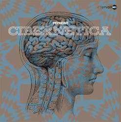 Cibernetica