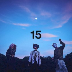 15