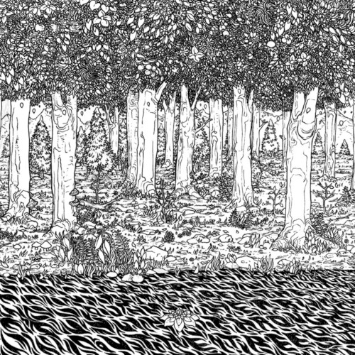 Through the Trees