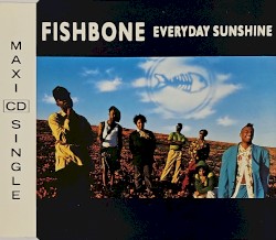 Everyday Sunshine