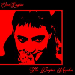 The Perfect Murder