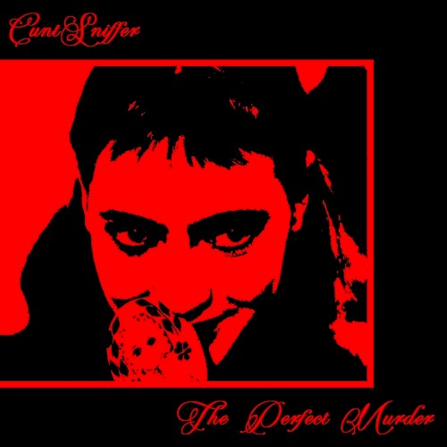 The Perfect Murder